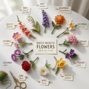May include: A collection of twelve crocheted birth month flowers arranged in a circle around a central card labeled BIRTH MONTH FLOWERS. Each flower is paired with a small tag identifying the month and flower name, including Rose, Daisy, and Lily.
