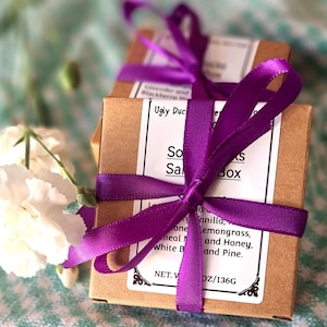 Soap Sampler Pack Handmade Cold Process Mini Bars (6 Samples) Scents
