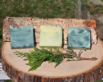 Handmade White Birch Pine Soap | Cold Process Woodsy Artisan Bar