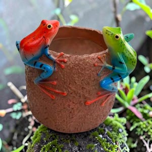 May include: A terracotta-colored ceramic pot with two colorful frog figurines. One frog is red and blue, the other is green and blue. The frogs are positioned on the rim of the pot, adding a whimsical touch to this decorative item.