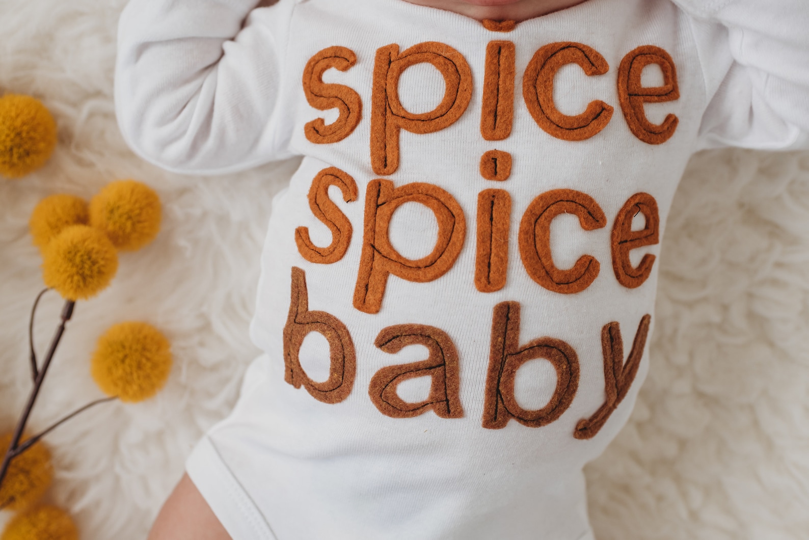 Rts Spice Spice Baby Autumn Baby Ice Ice Baby Shirt PSL Etsy