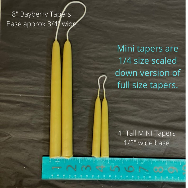 May include: Two 8-inch tall bayberry taper candles with a 3/4-inch wide base next to two 4-inch tall mini bayberry taper candles with a 1/2-inch wide base. The mini tapers are 1/4 the size of the full size tapers.