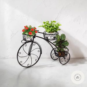 以下が含まれることがあります： 黒い金属製の自転車型プランタースタンド。3つのバスケットには鉢植えの植物が入っています。前のバスケットには赤いバラ、真ん中のバスケットには緑の植物、後ろのバスケットには大きな葉を持つ緑の植物が入っています。スタンドは白い表面にあります。