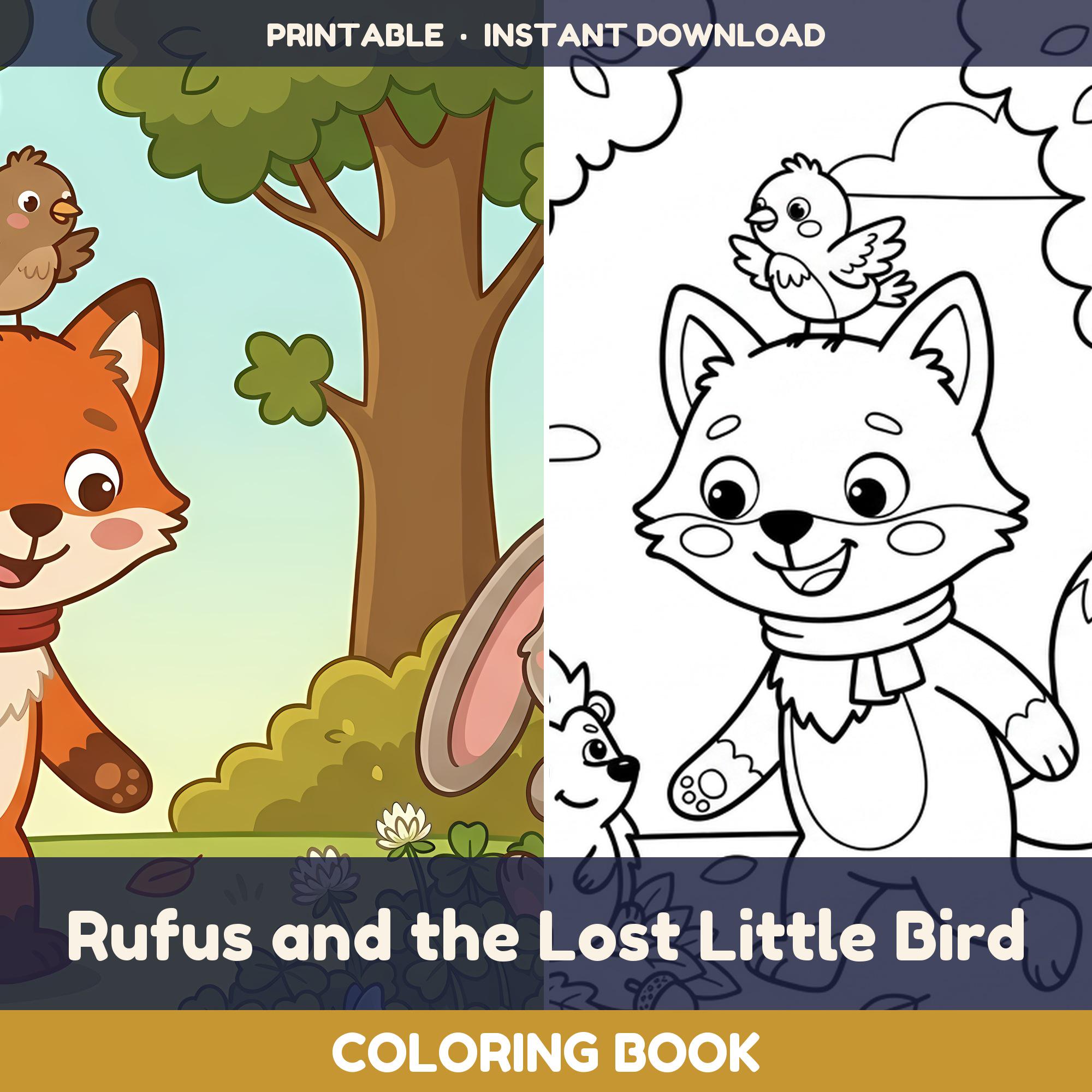 Rufus and the Lost Little Bird — Coloring Book