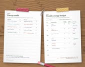 Energy audit and weekly energy budget pages filled in by hand, with spoons planned and used per day