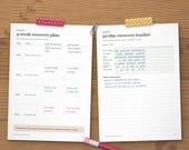 Four-week recovery plan and 30-day recovery tracker pages with handwritten example entries