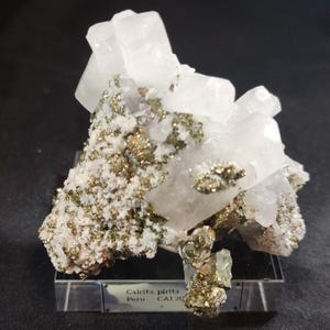 Puede incluir: Un espécimen mineral con cristales de cuarzo blanco y inclusiones de pirita dorada. La etiqueta dice "Calcita, pirita Peru CAL20". Los cristales de cuarzo se exhiben sobre un soporte transparente. El fondo es oscuro.