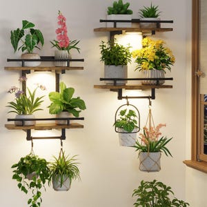 May include: Two wall-mounted shelving units with dark metal frames and wooden shelves. Each unit features integrated LED lighting, horizontal safety rails, and hooks for hanging planters. Various potted plants are displayed on the shelves.