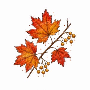 Puede incluir: Una ilustración detallada de una rama con tres hojas de arce otoñales en tonos vibrantes de rojo, naranja y amarillo, acompañada de dos racimos de pequeñas bayas redondas de color amarillo dorado que cuelgan de tallos finos sobre fondo blanco.