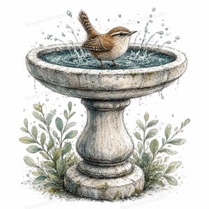 May include: A watercolor illustration of a small brown wren standing in a stone birdbath filled with water. The bird is splashing, creating droplets around the basin. The birdbath has a pedestal base and is surrounded by green leafy plants.