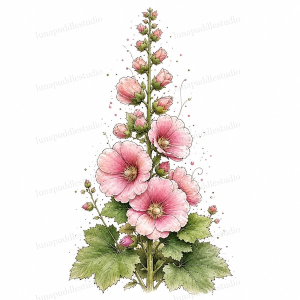 20 imágenes prediseñadas de malvas reales caprichosas, flores de jardín campestre en acuarela JPG, descarga digital, uso comercial.