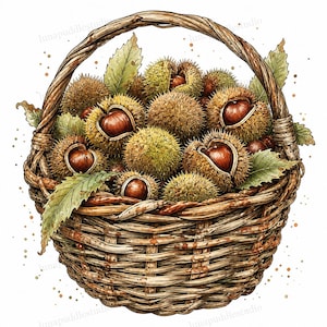 May include: A woven brown wicker basket filled with spiky green chestnut husks and smooth brown chestnuts. Several green leaves are tucked among the husks, and the entire illustration features small brown paint splatters throughout the design.