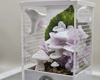 Enchanted Mushroom Garden Jumping Spider Enclosure (4x3x6)