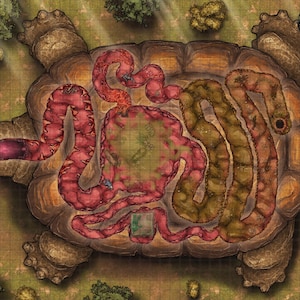 May include: A fantasy map depicting a giant turtle with its internal organs exposed. The turtle's shell is brown, and the organs are shades of red, brown, and green. The map is set on a grid, suggesting a game board.