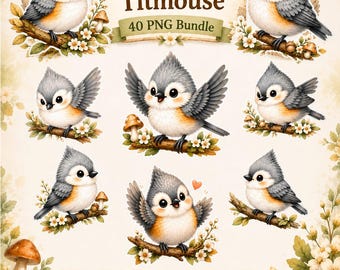 Paquete de imágenes prediseñadas de carbonero de bosque en acuarela, 40 imágenes PNG de pájaros lindos, ilustración de animales del bosque para guardería, descarga digital para uso comercial.