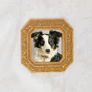 Puede incluir: Una pintura al óleo de un perro negro, blanco y marrón con orejas puntiagudas y una mancha blanca en la cara. El retrato está dentro de un marco octogonal dorado ornamentado con detalles florales y volutas en relieve.