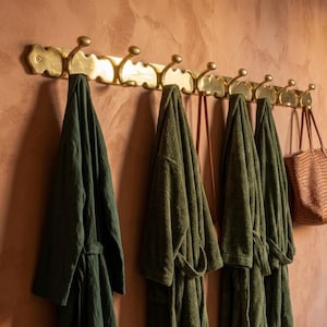 May include: A long, horizontal brass wall rack featuring eight curved hooks. Three dark green robes and one brown woven tote bag are hanging from the hooks. The brass rack has a scalloped edge design and is mounted against a textured terracotta wall.