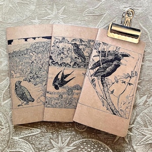 May include: Three small, brown notebooks with black and white bird illustrations. The notebooks are held together by a gold-colored clip. The illustrations depict various birds in natural settings, including a quail, swallow, and birds perched on a tree branch.