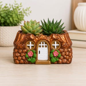 May include: A brown cottage-shaped planter with a white door, two round windows, and pink flower accents. The planter holds two green succulents, one with rounded leaves and one with pointed leaves, set within the roof structure of the house.