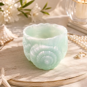 May include: A pale mint green resin bowl shaped like a nautilus shell with a pearlescent finish. The bowl features a detailed spiral pattern on the exterior, mimicking the natural curves and ridges of a seashell, with a smooth, open top rim.
