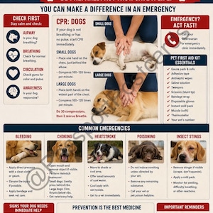 May include: Dog first aid guide with instructions for CPR, common emergencies, and a pet first aid kit. The poster includes images of dogs and provides steps for various situations, such as bleeding, choking, and insect stings.