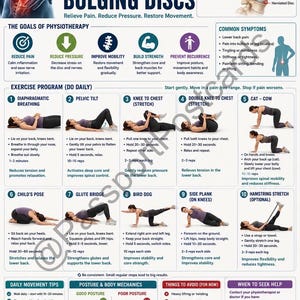 Peut inclure: A poster informatif intitulé « Physio pour les disques bombés inférieurs » avec des illustrations d'exercices. Il détaille les objectifs de la physiothérapie, les programmes d'exercices, les conseils de mouvement quotidiens, la posture et les choses à éviter.