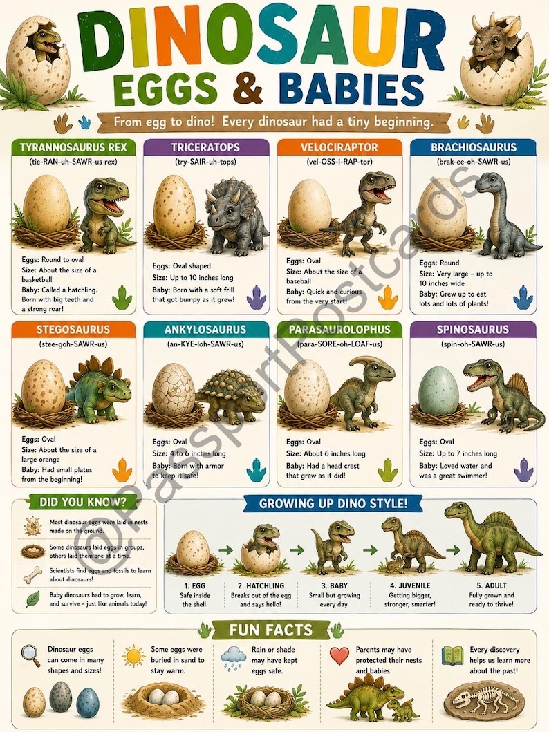 Dinosaur Eggs & Babies Poster | Educational Learning Chart (digital