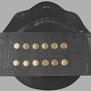 Puede incluir: Un cintur&oacute;n de cuero negro que presenta una secci&oacute;n rectangular con dos filas paralelas de seis peque&ntilde;os remaches met&aacute;licos circulares en tono lat&oacute;n. El cintur&oacute;n tiene un acabado de superficie texturizado y un detalle de borde liso.