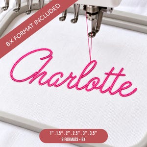 Könnte beinhalten: Ein Stickrahmen mit weißem Stoff, auf dem der Name Charlotte mit leuchtend rosa Garn gestickt ist. Der Text BX FORMAT INCLUDED erscheint auf einem diagonalen Banner, und ein unteres Etikett listet die Größen 1, 1.5, 2, 2.5, 3, 3.5 Zoll, 9 Formate plus BX auf.