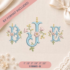 Puede incluir: Un diseño de bordado con las letras B, J y E en una fuente serif azul claro, decorado con flores rosas, hojas verdes y bayas amarillas. El texto BX FORMAT INCLUDED y 1 cm, 1.5 cm, 2 cm, 2.5 cm, 3 cm, 3.5 cm son visibles.