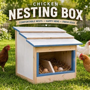 May include: A wooden chicken nesting box with a white and natural wood finish, featuring blue trim and a slanted roof. The interior contains straw and three eggs. Text above the box reads: CHICKEN NESTING BOX, COMFORTABLE NESTS, HAPPY HENS, FRESH EGGS.