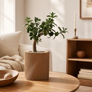 Op de afbeelding: Een kleine groene jadeplant in een lichtbruine, getextureerde, vierkante plantenbak. De plantenbak staat op een ronde, lichtbruine houten salontafel. Een houten kom met een decoratieve bal staat op de voorgrond.