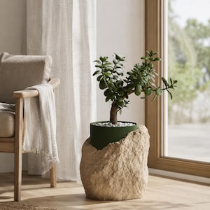 May include: A green jade plant in a decorative stone-like planter. The planter has a dark green interior and a rough, beige exterior. The plant sits on a wooden floor near a window and a wooden chair.