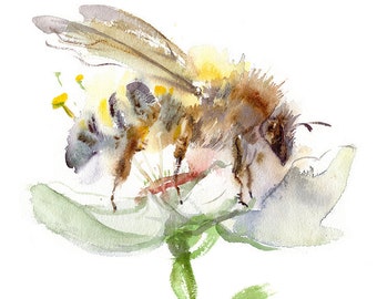 Honey bee Giclee print of original watercolor, insect lover gift