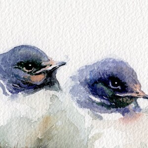 Swallows painting, baby birds giclee print, little swallows watercolor print image 1