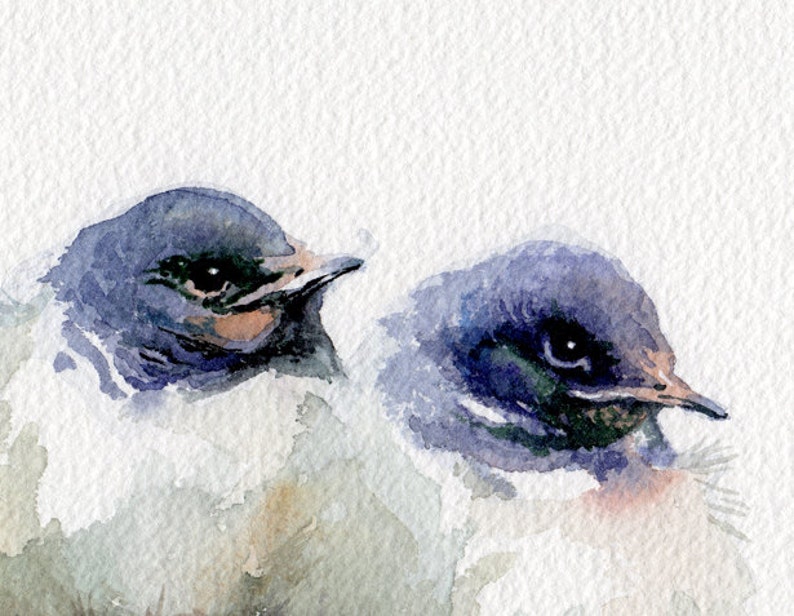 Swallows painting, baby birds giclee print, little swallows watercolor print image 1