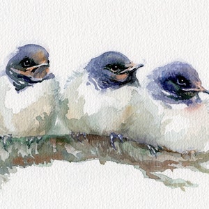 Swallows painting, baby birds giclee print, little swallows watercolor print image 2