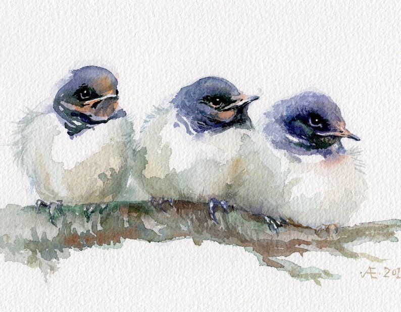 Swallows painting, baby birds giclee print, little swallows watercolor print image 2