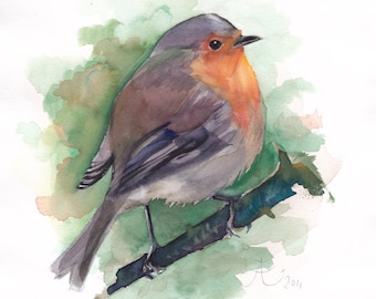 Red Robin giclee print, Bird watercolor painting, Limited Edition Fine Art Print of my original watercolor