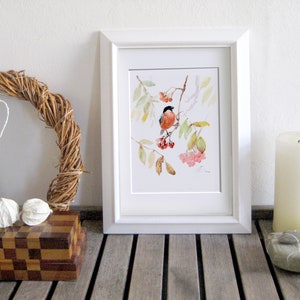 Bullfinch bird print, red bird on a branch with berries GICLEE PRINT of original watercolor image 2