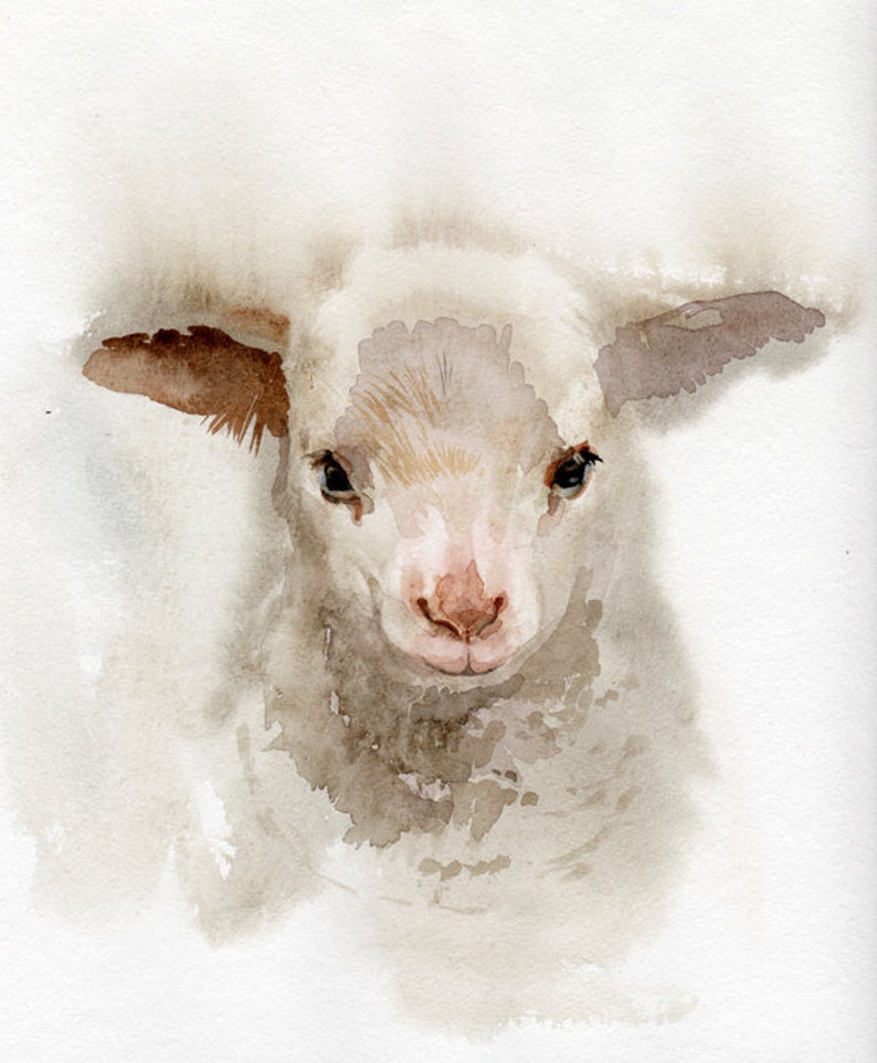 Lamb print Nursery art, GICLEE print, baby shower gift image 1