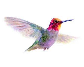 Hummingbird Watercolor Giclee print, Bird Fine art print of original painting