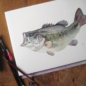 Bass, fish painting, Giclee print of original watercolor image 3