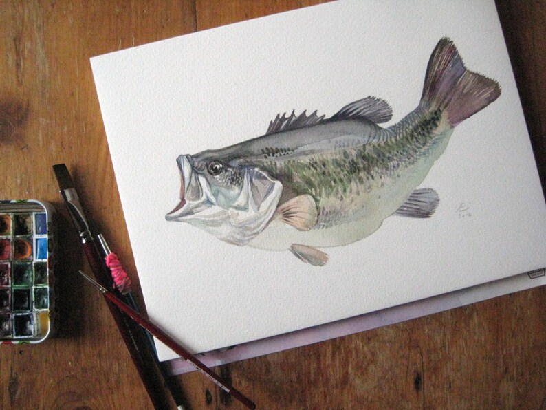 Bass, fish painting, Giclee print of original watercolor image 3