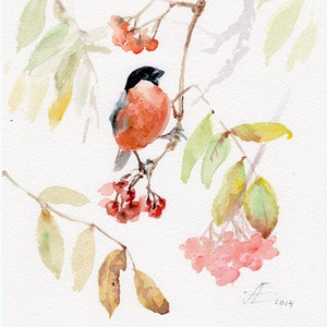 Bullfinch bird print, red bird on a branch with berries GICLEE PRINT of original watercolor image 1