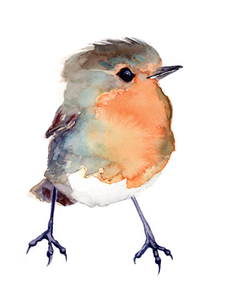 GICLEE print baby shower gift Baby Robin Bird Painting Red Robin nursery art gift
