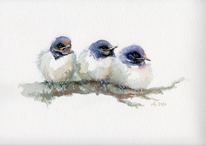 Swallows painting, baby birds giclee print, little swallows watercolor print image 3