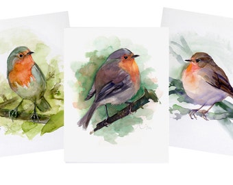 3 Red Robin prints, 5x7 fine art, giclee print of original watercolor