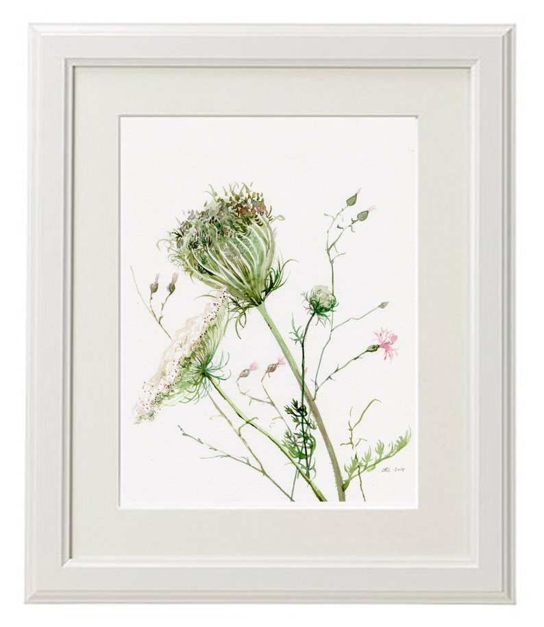 Queen Anne's Lace GICLEE print of original watercolor Etsy