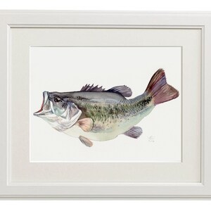 Bass, fish painting, Giclee print of original watercolor image 2